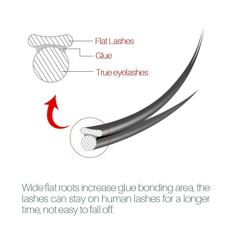 Flat Ellipse Eyelash Extensions